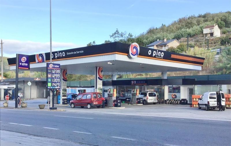 Estación Petronan El Pino
